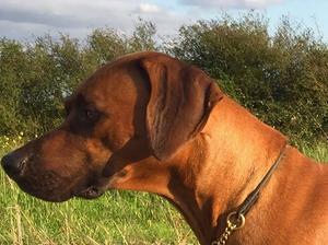 Arthur at 2 years