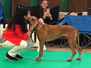 Katie in the ring