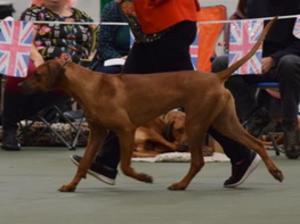 Queenie on the move