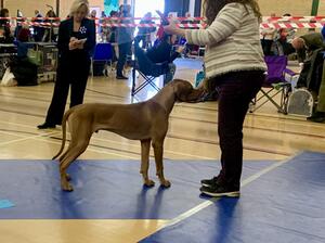 Clifford winning his class