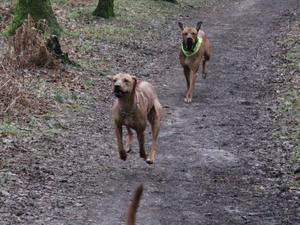 Tini enjoying a run after the show with bro Jake