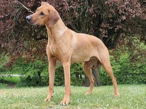 Maud at 6 Years