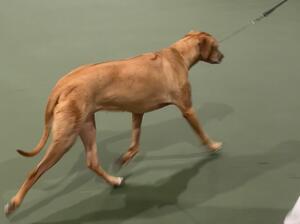 Tini on the move at nearly 11
