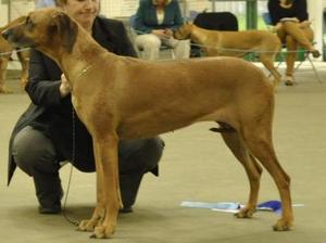 Rita 7 years old winning 2nd in veteran