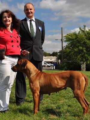 Dolly with judge