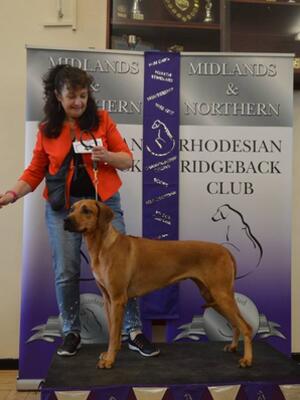 Katie winning her class