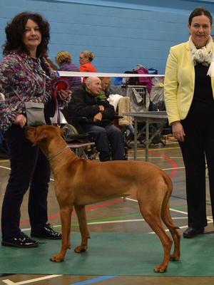 Maud winning the Hound Puppy Group 1