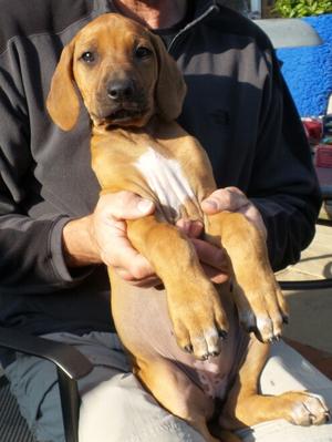 Picture of her at 10 weeks