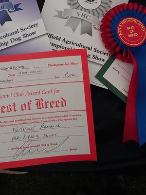 Award