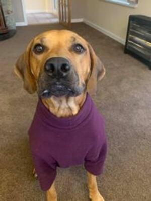 Katie relaxing in her PJ's
