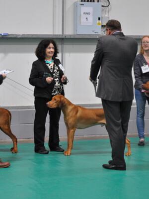 Clifford being awarded his place