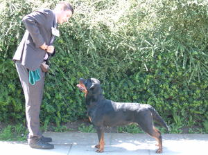 Roxy at NOERC