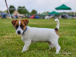 Girl 12 weeks old