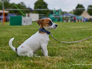 Girl 12 weeks old