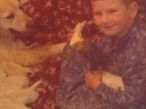 grandson enjoying the new babies