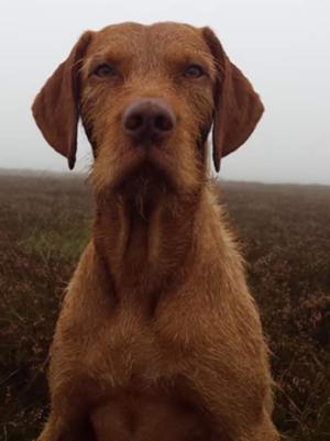 Waiting for the fog to clear on a shoot day.