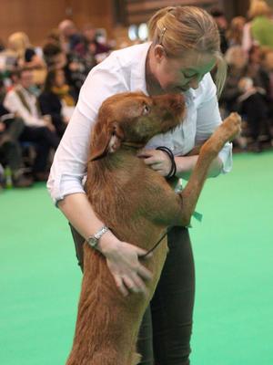 Drummer enjoying Crufts