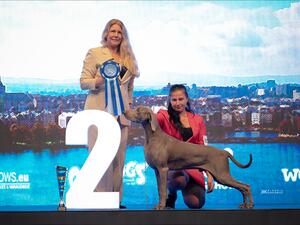 World Dog Show Geneva 2023