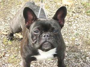LUCY 9 MONTHS