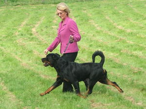 Dreamrott Down Under in Westlodge