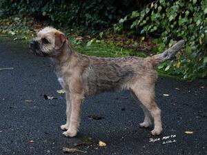 Razzle at 6 months