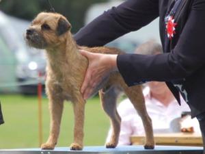 Reggie being examined by the judge