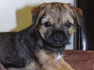 Tia at 6 weeks old