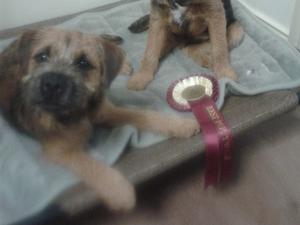 Winning her first rosette
