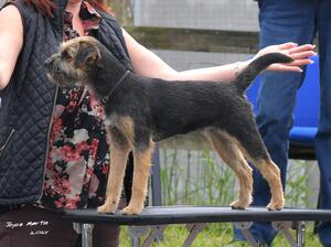 Jet 6 months winning BPB