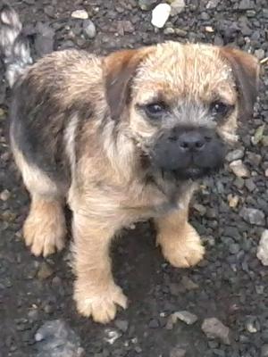 Ella at 13 wks