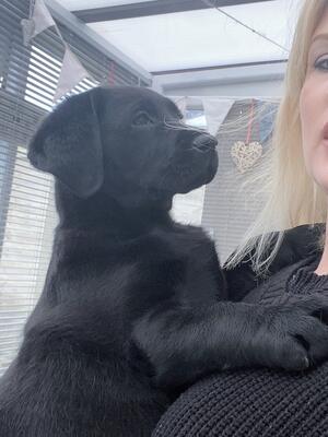 River at 10 weeks old