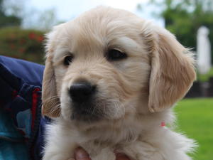 Ellie Rose mollys daughter
