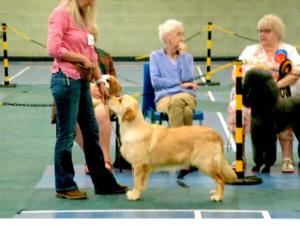 Lola winning Best Puppy in Show