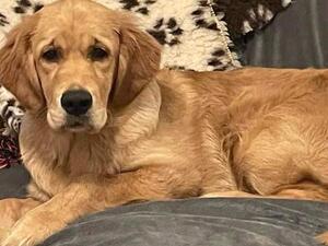 Chilling out on the sofa at home