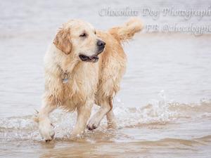 Fun on the beach