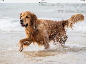 Beach fun