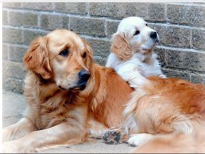 A loving mum with her offspring