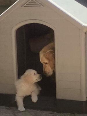 Making acquaintances