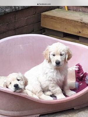 Ellie at six and a half weeks
