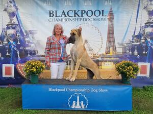 Blackpool 2021, BPIB