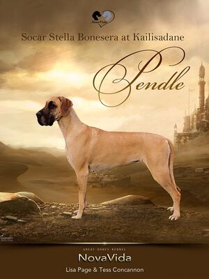 Pendle