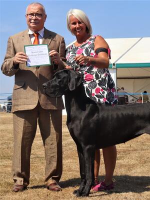 Lily winning her 1st Champion Certificate