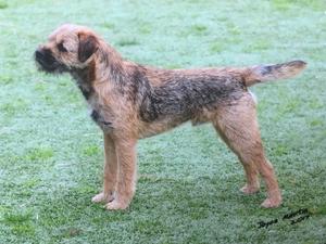 Glen at 15 months