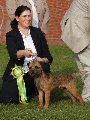 famous border terriers