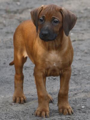 Lovely boy