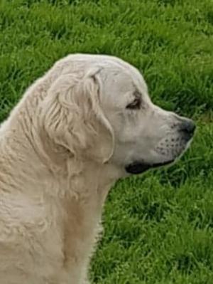 Tess @4 years
