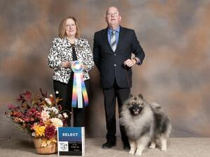Konner Specialty Show Select Dog - Yvonne Savard