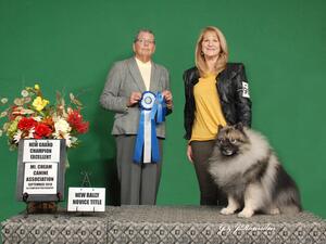Konner Novice A Title & Canadian Gr Ch Ex Title