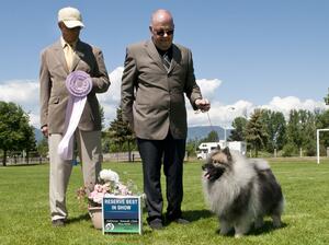 Konner Reserve Best in Show - Mr Mel Saranchuk