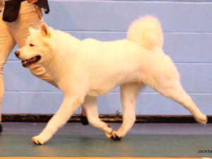 Murphy on the move